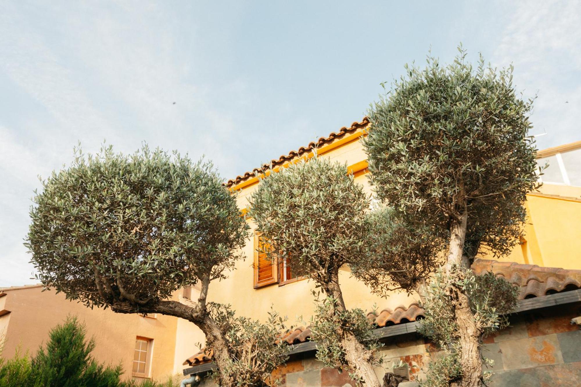 Chalet, Villa Rodeada De Naturaleza Piscina A Doce Klm De Valencia Y 7 Del Aeropuerto Kültér fotó